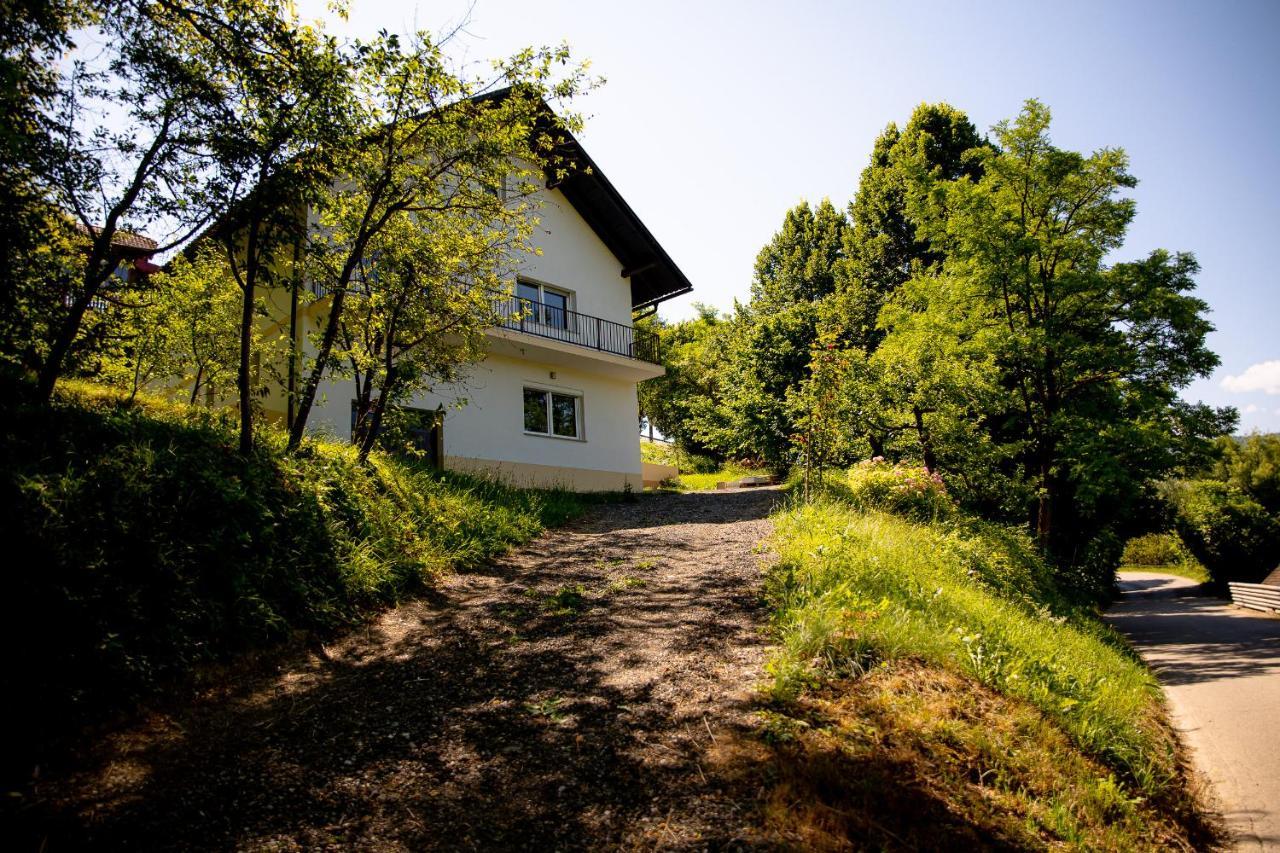 Rustic House In A Beautiful Village Cerklje ob Krki Kültér fotó